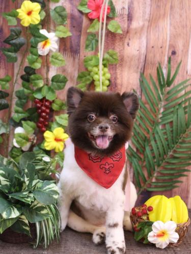 20230825太郎くん